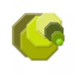 Small Octagons